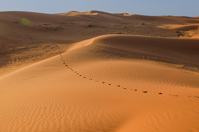 11 Days Desert Tour Saudi Arabia