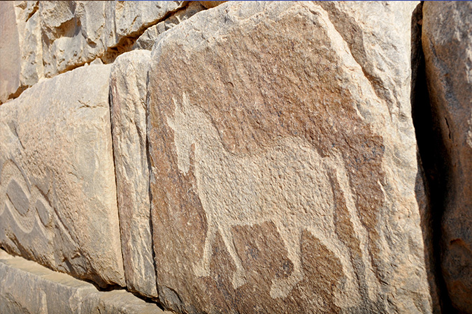 Al Okhdood Archeoligical Site